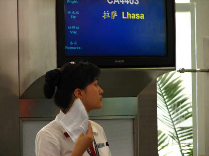 Flying from Chengdu, China to Lhasa, Tibet.